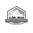 teakautoclaimsmt.com